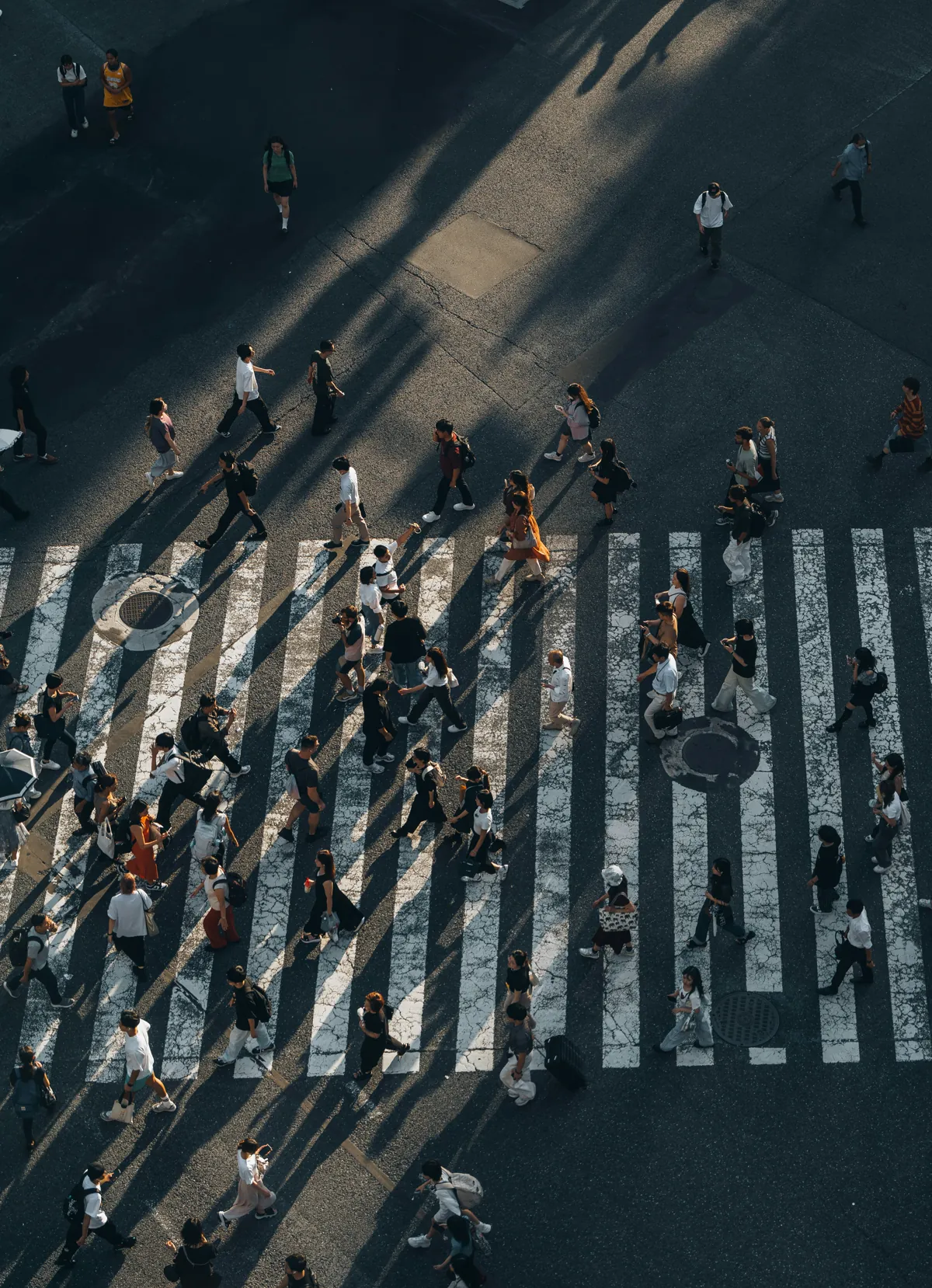 Late afternoon at a Tokyo crossing from overhead, long shadows running off every pedestrian