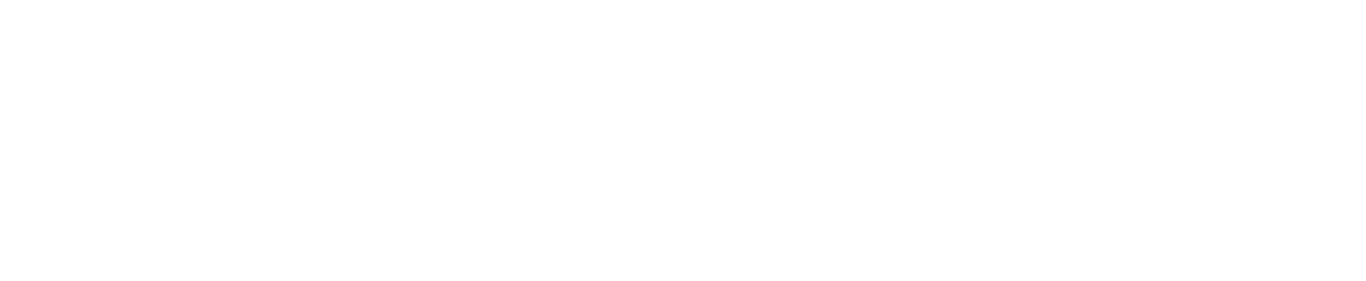 Bright Trip
